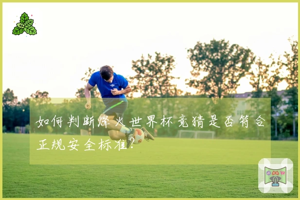 如何判断烽火世界杯竞猜是否符合正规安全标准?