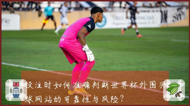 投注时如何准确判断世界杯外围买球网站的可靠性与风险?